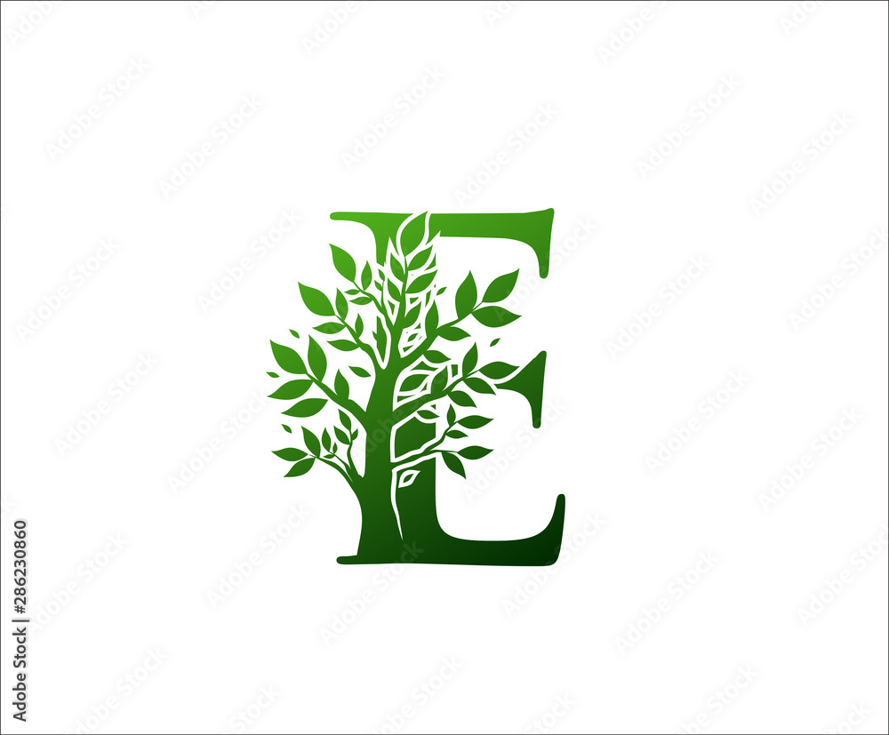 Fototapeta E Logo Letter Created From Tree Branches and Leaves. Tree Letter Design with Ecology Concept..