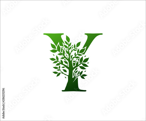 Y Logo Letter Created From Tree Branches and Leaves. Tree Letter Design with Ecology Concept..