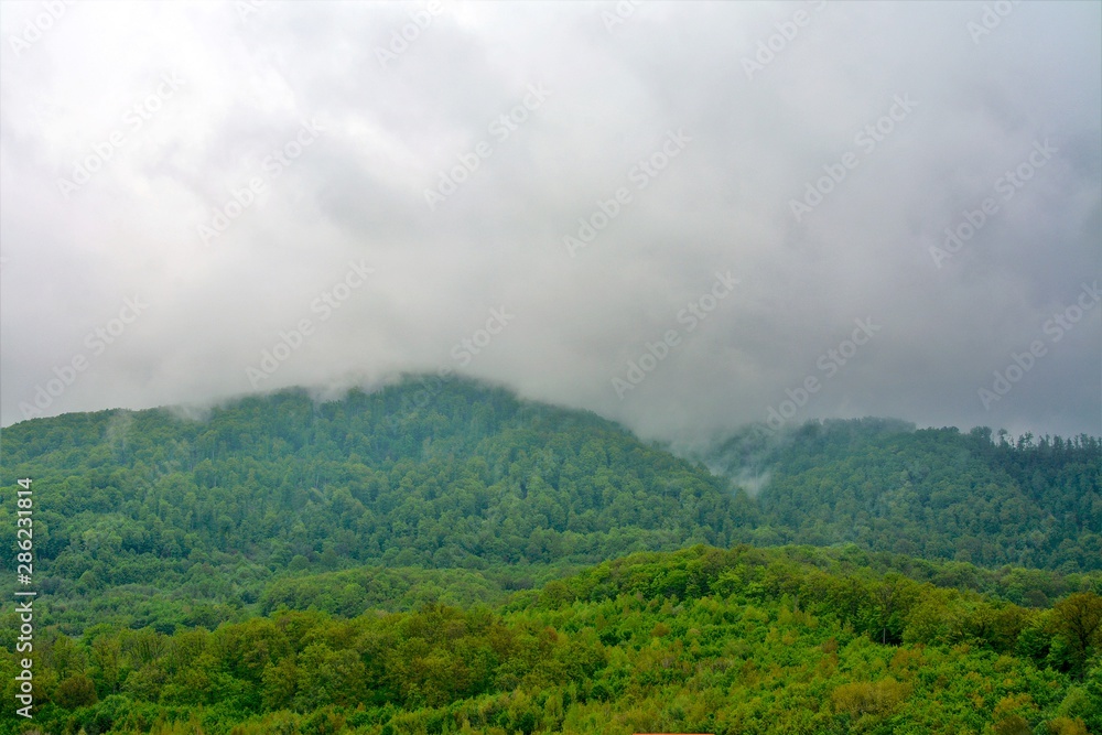 Obraz premium landscape with clouds descending on the forest