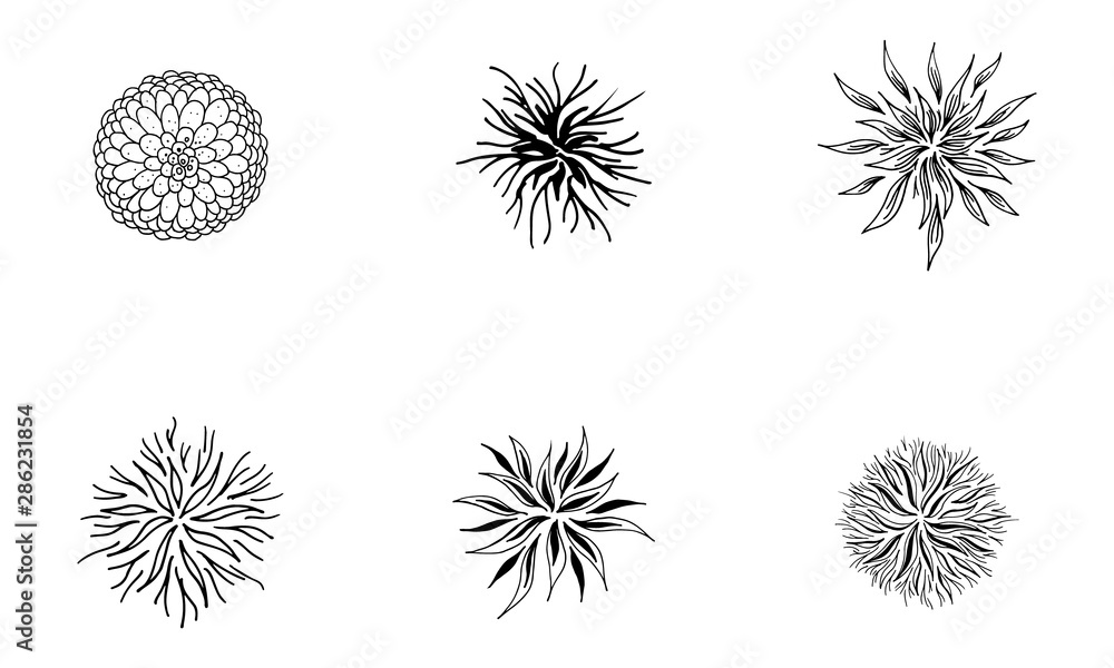 Outline microbes vector set. Isolated black simple line elements collection from a medical concept. Editable vector stroke microbe set. Virus icon collection. Hand drawn illustration. Virus, bacteria Outline microbes vector set. Isolated black simple line elements collection from a medical concept. Editable vector stroke microbe set. Virus icon collection. Hand drawn illustration. Virus, bacteria