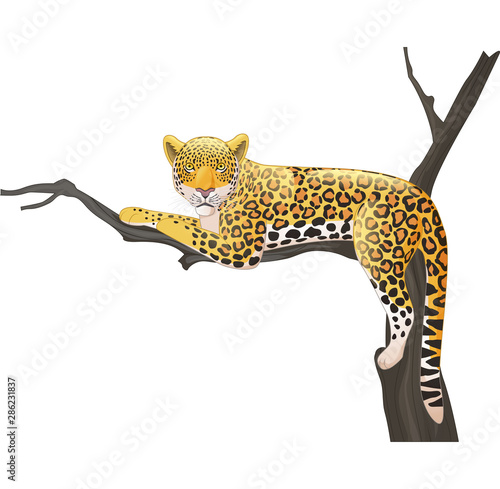 Cartoon leopard lying on a tree branch 