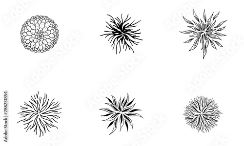 Outline microbes vector set. Isolated black simple line elements collection from a medical concept. Editable vector stroke microbe set. Virus icon collection. Hand drawn illustration. Virus, bacteria