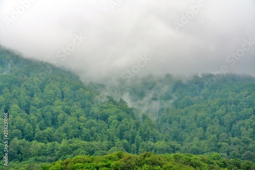 fog over the mountains © sebi_2569