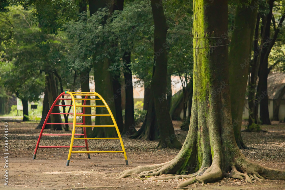 Fototapeta premium 夏 日本 公園