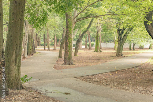 Wallpaper Mural 夏　日本　公園 Torontodigital.ca
