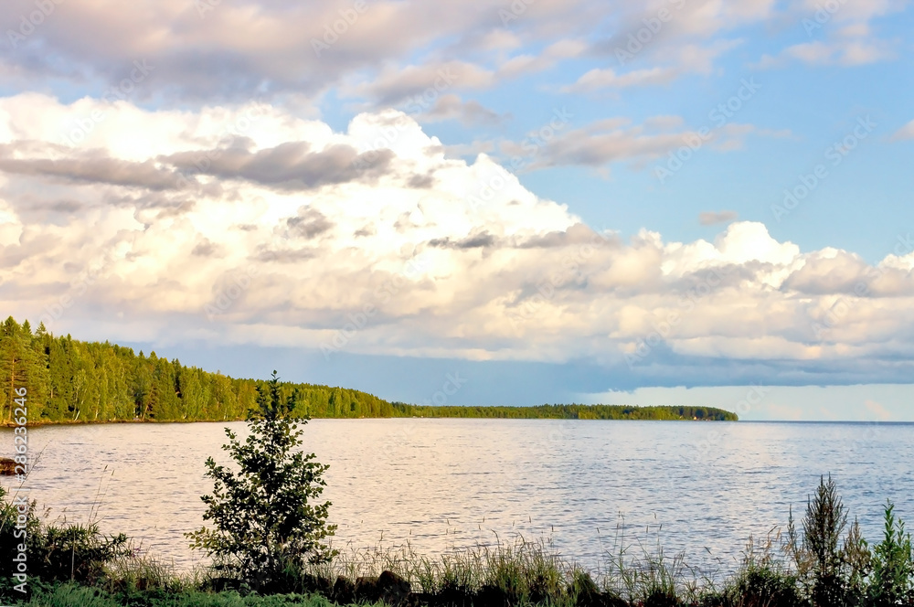 Landscape of Lake Onega in Karelia.Extensive body of water with coastline of coniferous forest