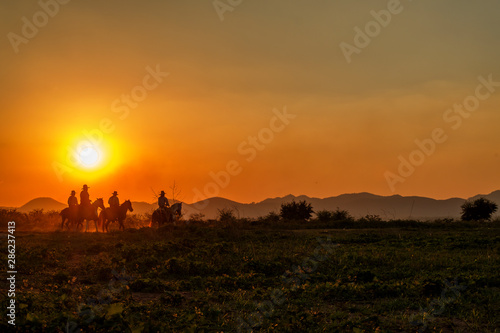 Sihoulette of cowboys group riding horseback during beautiful sunset with mountain background