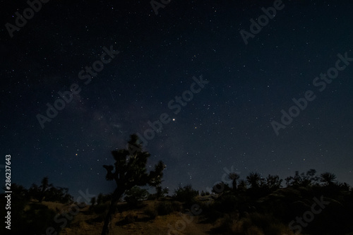 Night Sky at Joshua Tree National Park, California