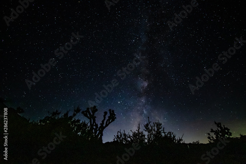 Night Sky at Joshua Tree National Park,  California
