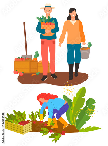 Farming people vector, isolated farmer man and woman on plantation. Season of harvesting soil maintenance and cultivation. Beetroots and carrots agriculture. Flat cartoon