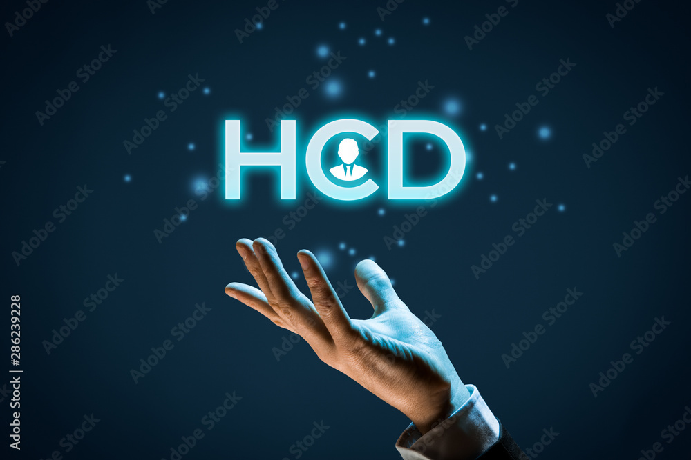 Human Centered Design (HCD) concept. Designer or marketing specialist give you HCD solution. Human Centered Design (HCD) concept. Designer or marketing specialist give you HCD solution.