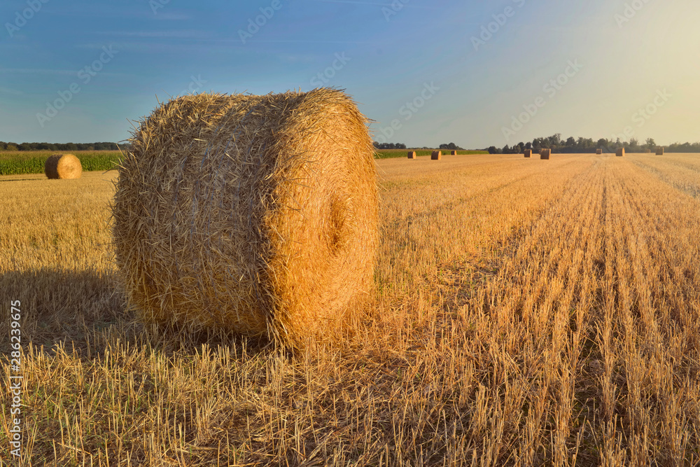 scenic rural landscape with a haybale in a field at sunset