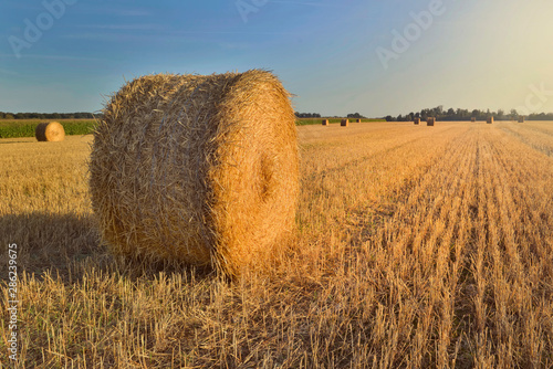 scenic rural landscape with a haybale in a field at sunset