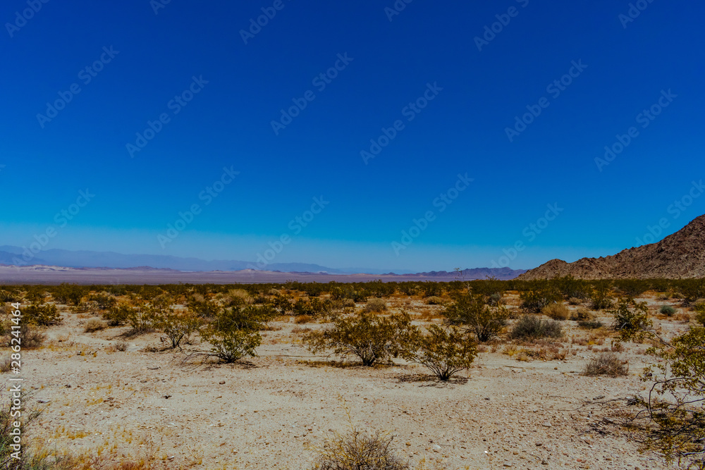 Summer in Mojave Desert National Preserve