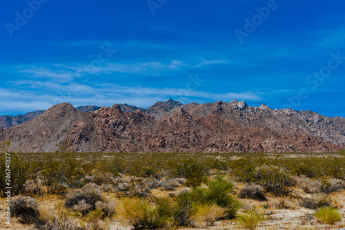 Summer in Mojave Desert National Preserve