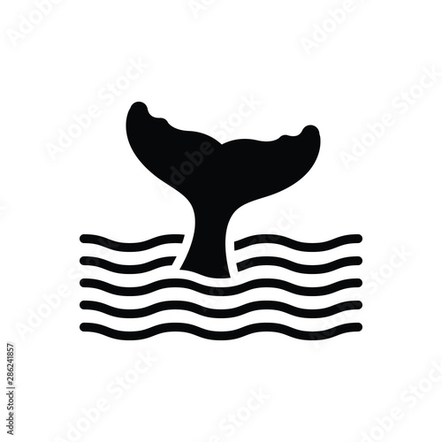 Black solid icon for tail rump 