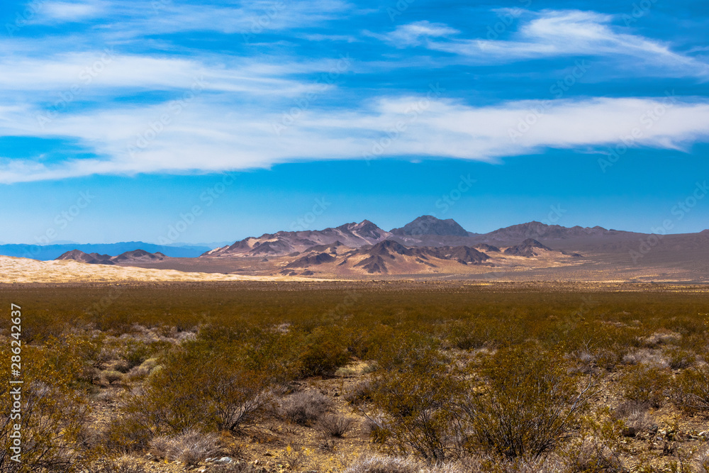 Sand Dunes In Mojave Desert National Preserve