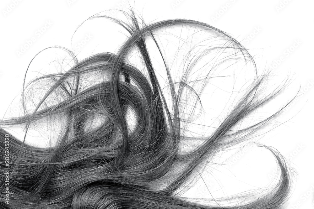 Disheveled brown hair isolated on white background Disheveled brown hair isolated on white background