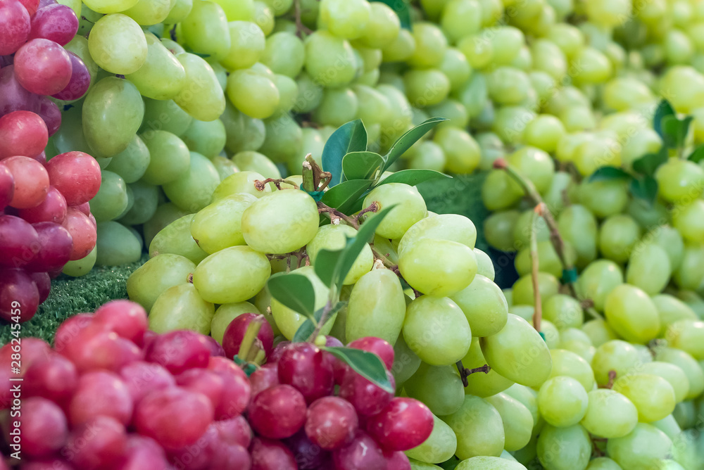 Fresh grapes fruit in market,Thailand Fresh grapes fruit in market,Thailand