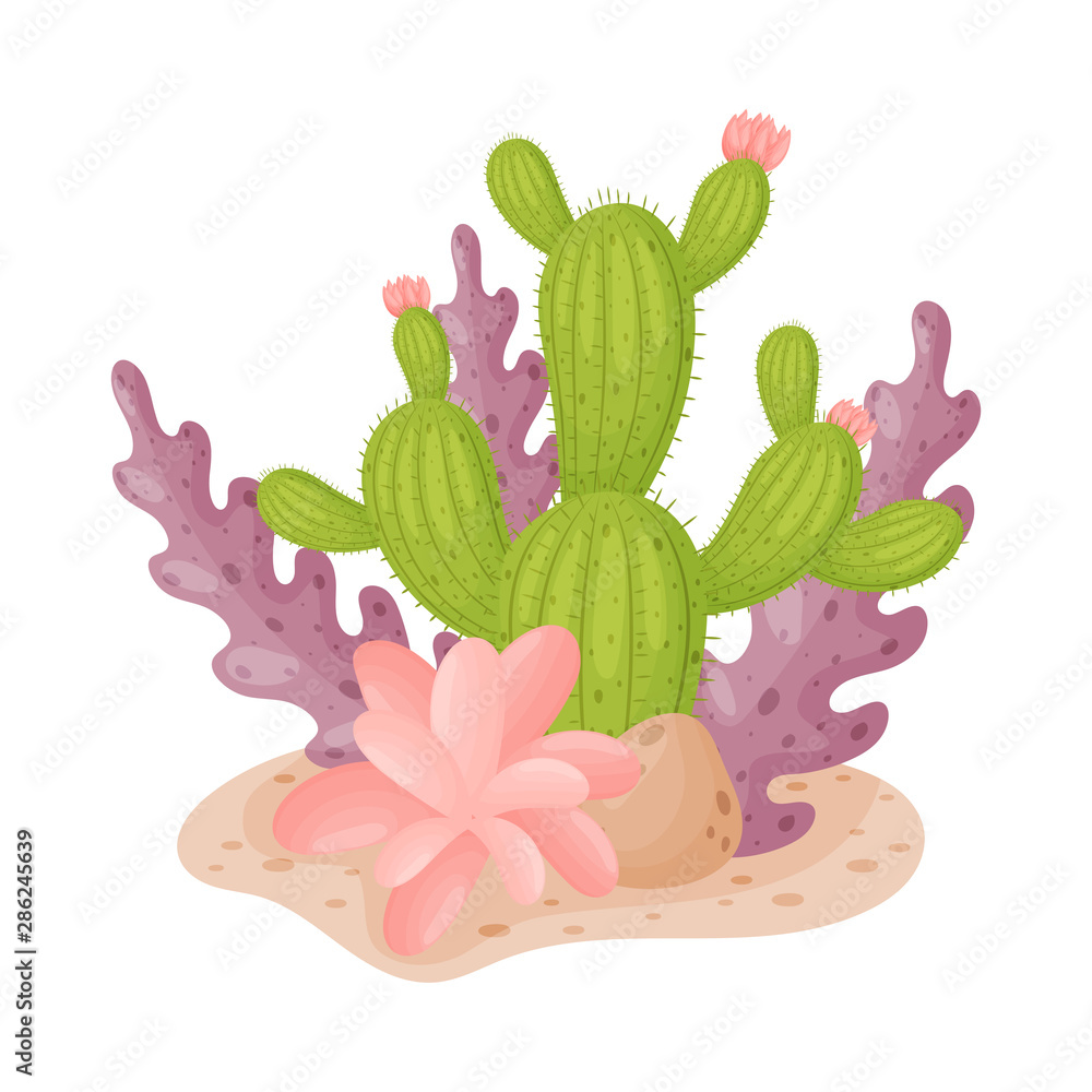 Branched tall cactus. Vector illustration on a white background. Branched tall cactus. Vector illustration on a white background.
