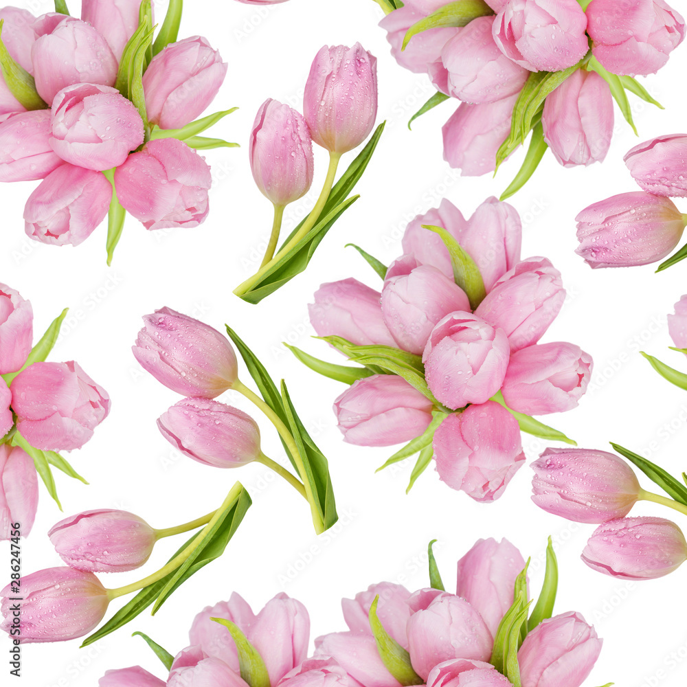 Tulips flowers on white background as seamless pattern Tulips flowers on white background as seamless pattern