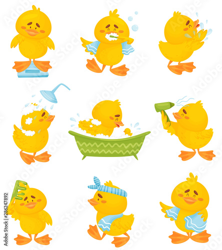 Set of images of a humanized duckling. Vector illustration on a white background.