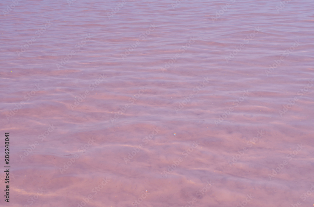 Obraz premium The pink lake. Pure water. Salt at the bottom.