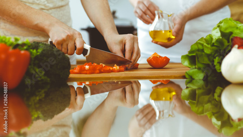Closeup of human hands cooking in kitchen. Mother and daughter or two female friends cutting vegetables for fresh salad. Friendship, family dinner and lifestyle concepts