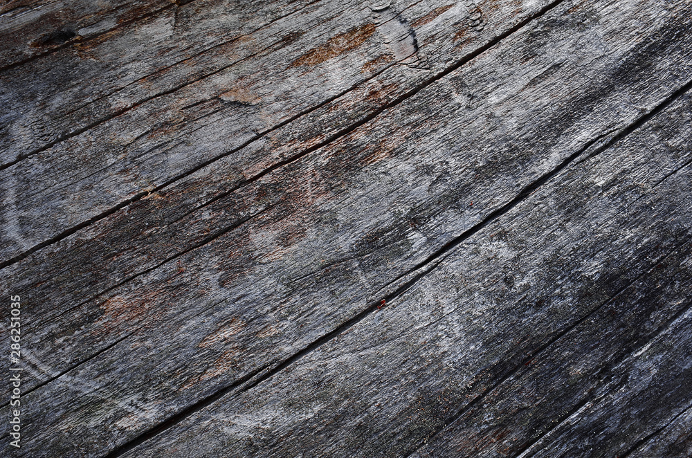 The surface of a dry tree with cracks closeup. Macro, texture, design, wallpaper The surface of a dry tree with cracks closeup. Macro, texture, design, wallpaper