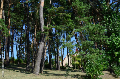 Holy Mountain and Monastery in Polupanovka with 14 statues insinuating the crucifixion of Christ photo