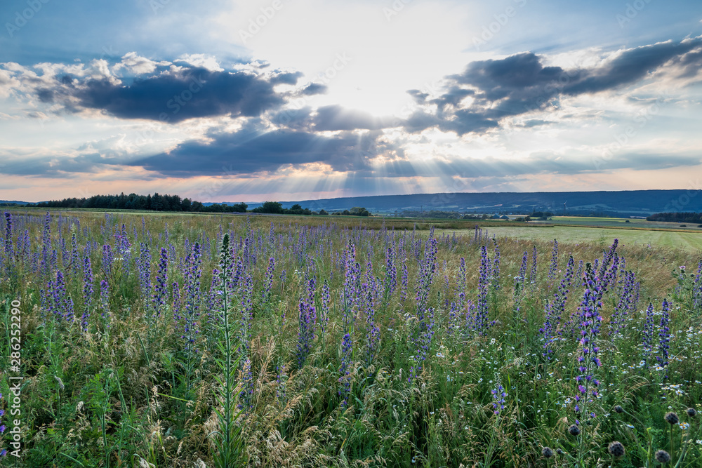 The landscape in Low Saxony, Germany. The landscape in Low Saxony, Germany.