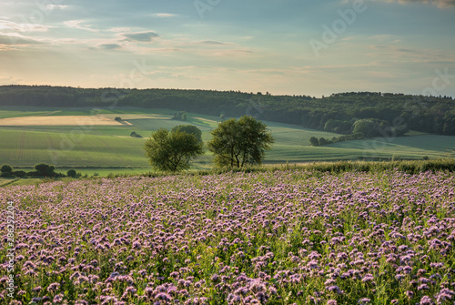 The landscape in Low Saxony, Germany.