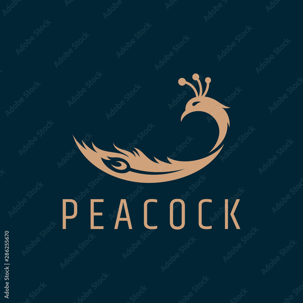 peacock feather logo vector. elegant bird flat style. simple modern