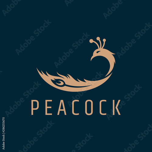 peacock feather logo vector. elegant bird flat style. simple modern animal design