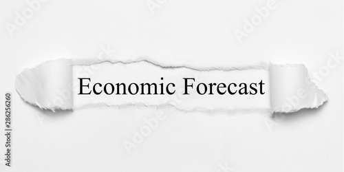 Economic Forecast 