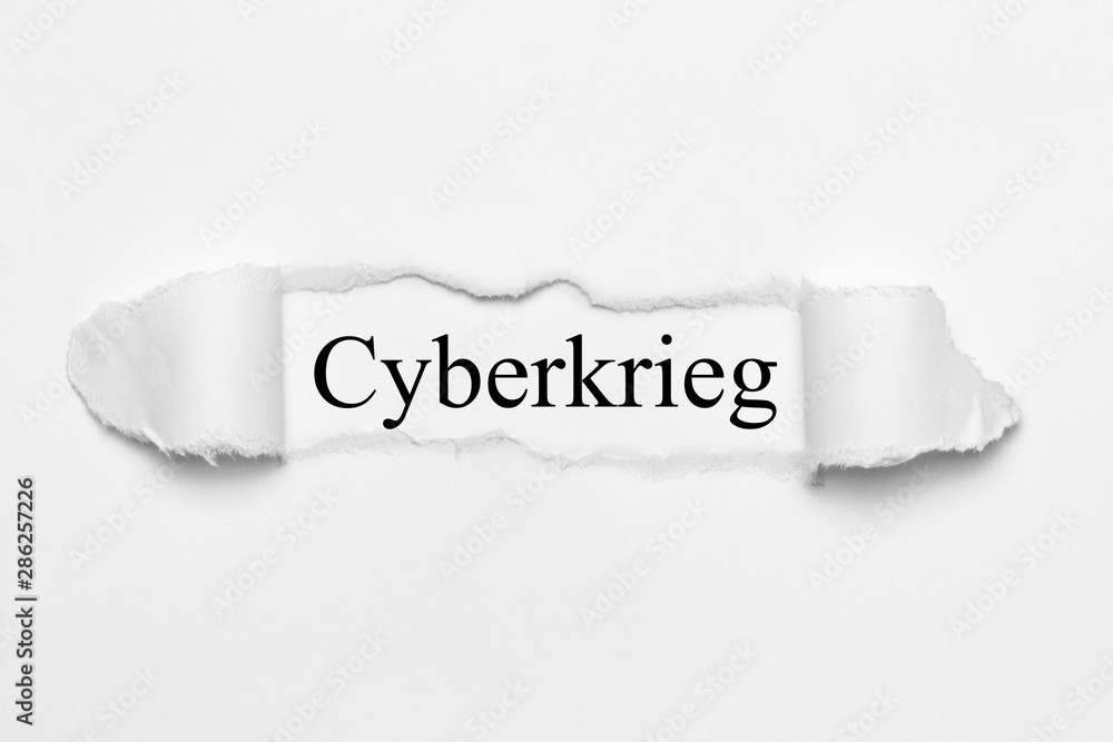 Cyberkrieg