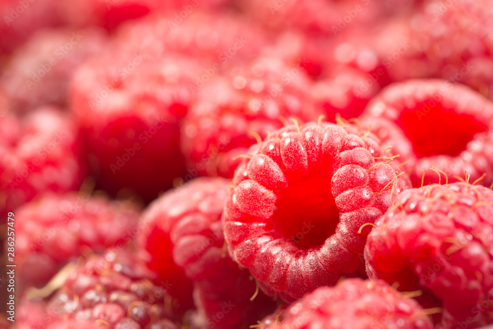 Close up of raw pink fresh raspberries Close up of raw pink fresh raspberries