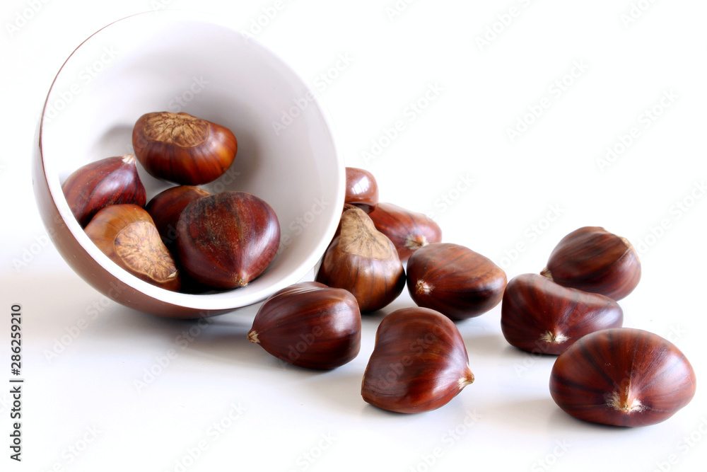 Fresh chestnuts on a white background. Isolated chestnut set. The name also refers to the edible nuts they produce. Concept of healthy and seasonal food. Autumn decorations. Fresh chestnuts on a white background. Isolated chestnut set. The name also refers to the edible nuts they produce. Concept of healthy and seasonal food. Autumn decorations.