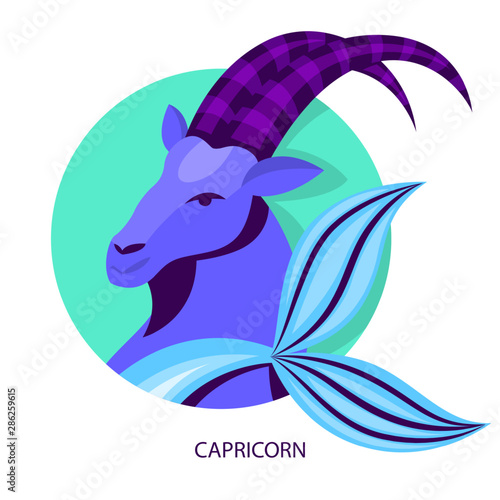Capricorn zodiac