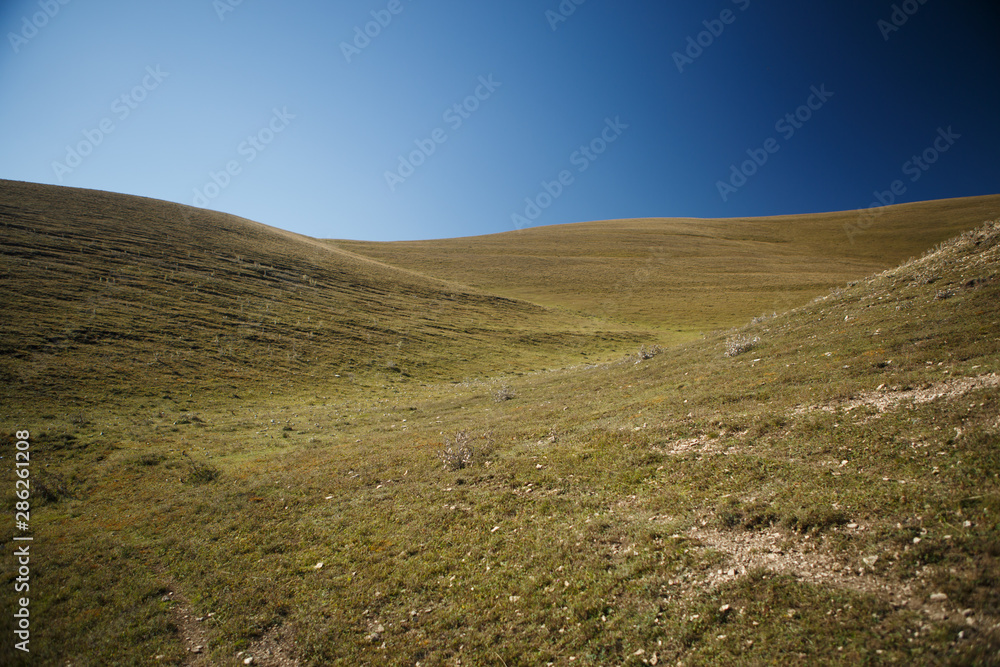 Image of hill with green vegetation, blue clear sky on summer