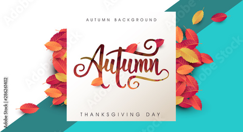 Autumn calligraphy. Seasonal lettering.Web banner template.vector illustration
