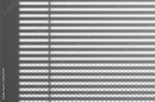 Realistic transparent drop shadow from the blinds on a wall, striped overlay effect for photo, design presentation. Vector illustration