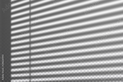 Realistic transparent drop shadow from the blinds on a wall, striped overlay effect for photo, design presentation. Vector illustration