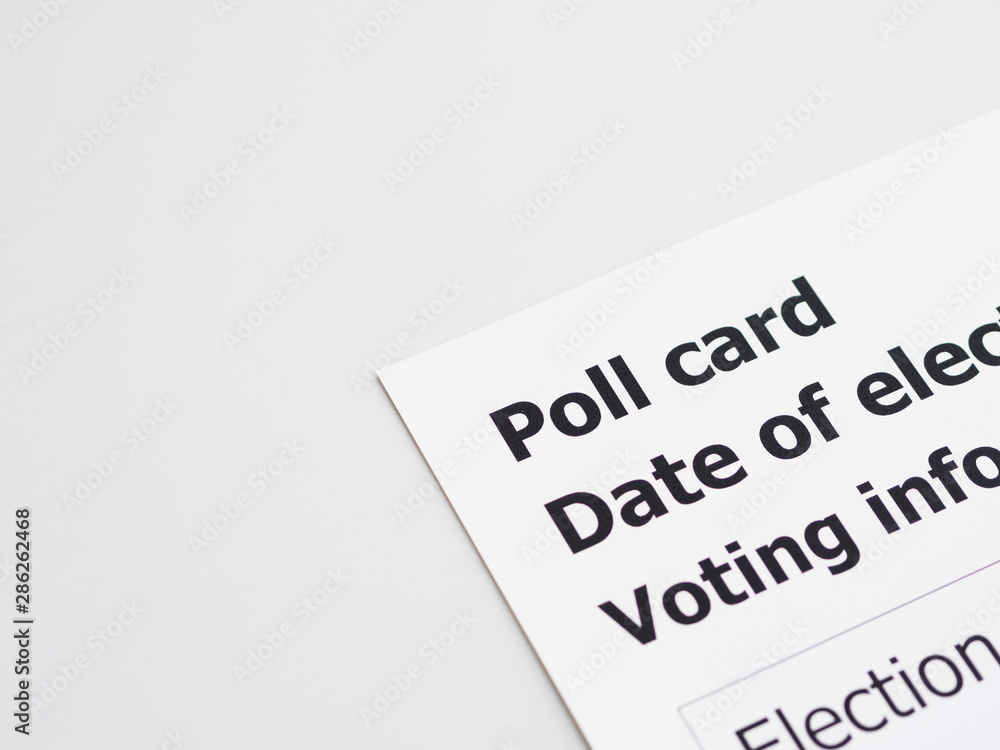 Top view poll card on white background