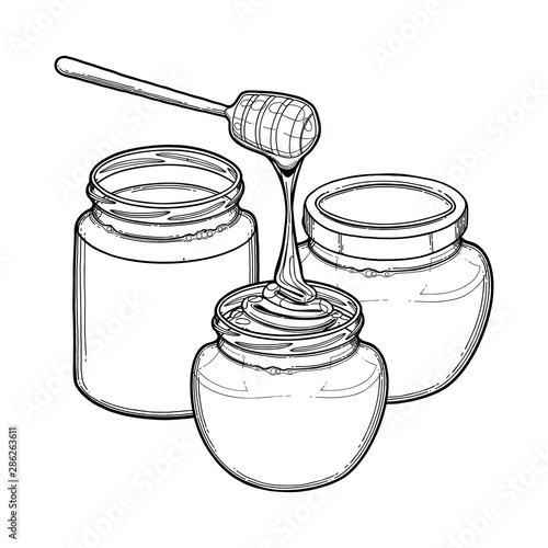 Tree watercolor bottles of different sorts of honey