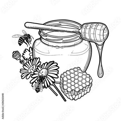 Graphic honey bottle decorated with chamomile flowers