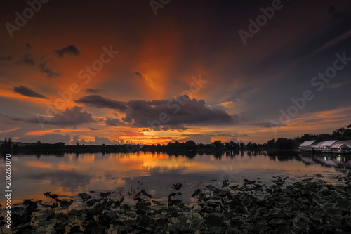 Lake view evening panorama above Lotus lake with red sun light and cloudy sky background, sunset at Krajub Reservoir attraction in Ban Pong, Ratchaburi, Thailand.