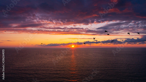 gabbiani sopra il mare al tramonto