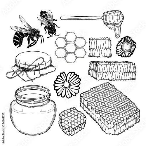 Graphic set of honey, caps, dripper, honeycombs, bees and flowers