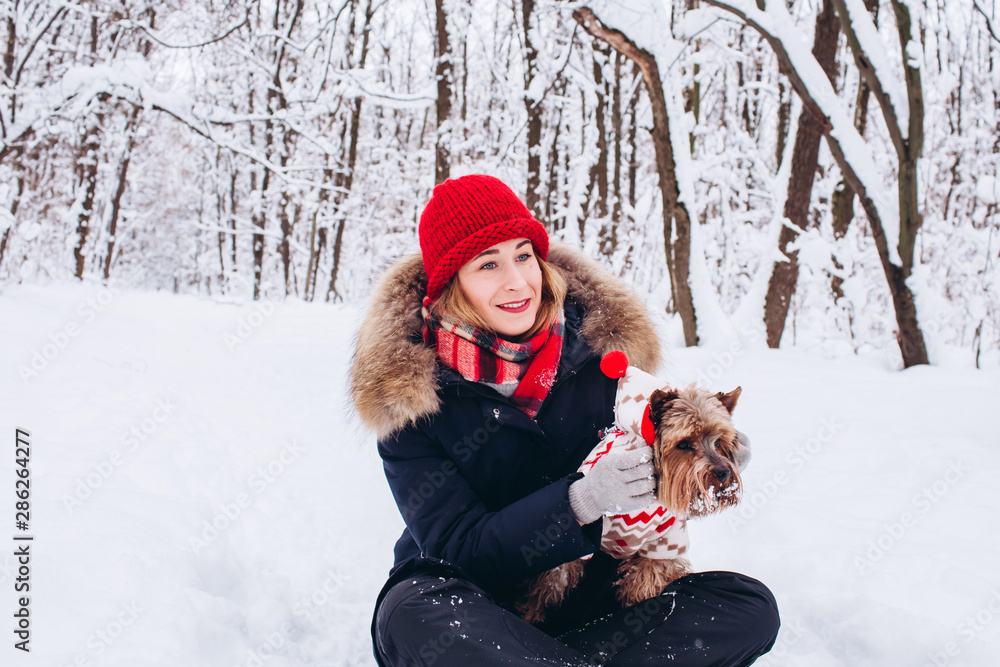 Woman spending time with a wonderful pet outdoors. Girl in a red hat and scarf playing with snow in the forest with a dog. snowy winter. Yorkshire Terrier in a Christmas costume plays in the snow. Woman spending time with a wonderful pet outdoors. Girl in a red hat and scarf playing with snow in the forest with a dog. snowy winter. Yorkshire Terrier in a Christmas costume plays in the snow.